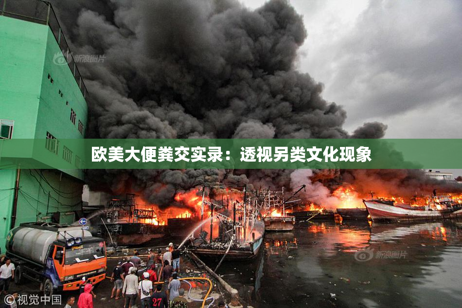 欧美大便粪交实录：透视另类文化现象