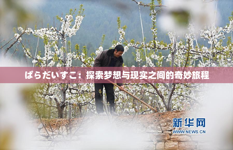 ぱらだいすこ：探索梦想与现实之间的奇妙旅程