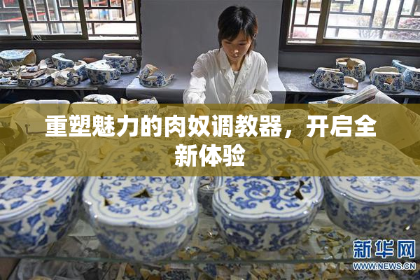重塑魅力的肉奴调教器,开启全新体验