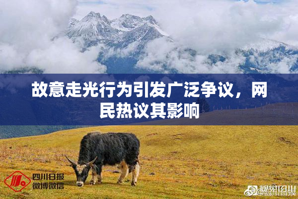 故意走光行为引发广泛争议,网民热议其影响