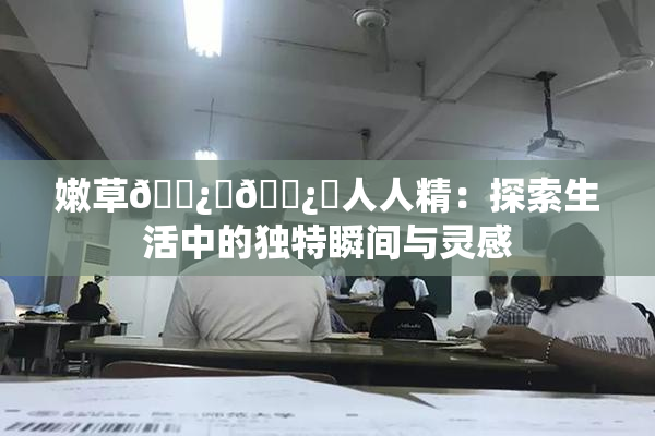 嫩草🌿🌿人人精:探索生活中的独特瞬间与灵感