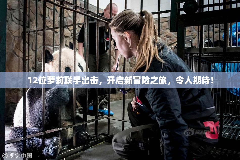 12位萝莉联手出击,开启新冒险之旅,令人期待!