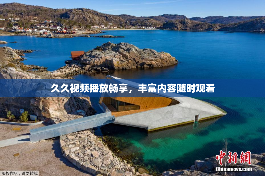 久久视频播放畅享,丰富内容随时观看