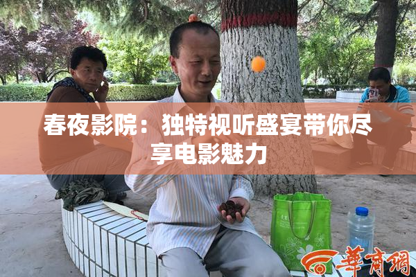 春夜影院:独特视听盛宴带你尽享电影魅力
