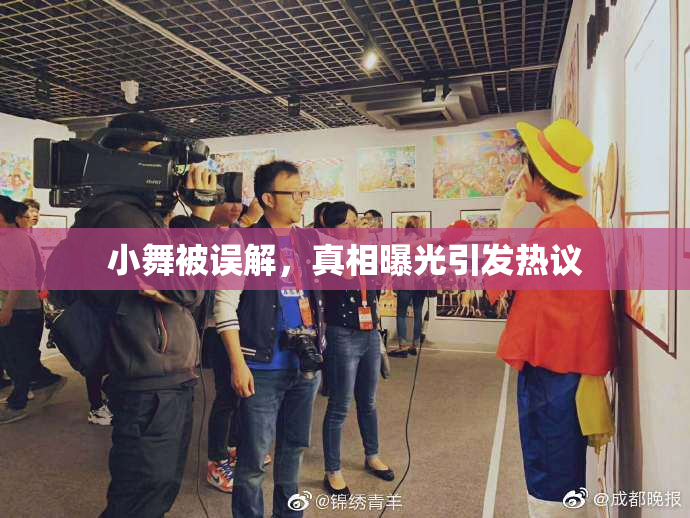 小舞被误解,真相曝光引发热议