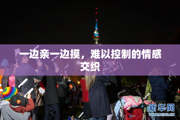 一边亲一边摸,难以控制的情感交织