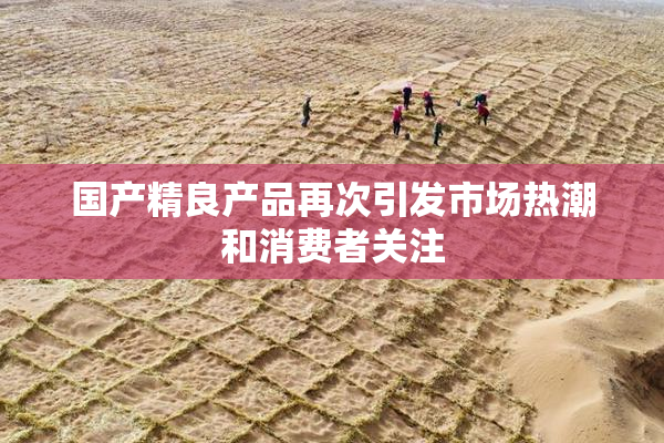 国产精良产品再次引发市场热潮和消费者关注