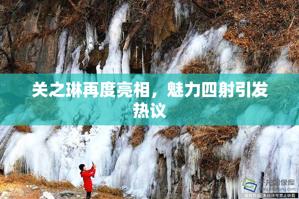 关之琳再度亮相，魅力四射引发热议