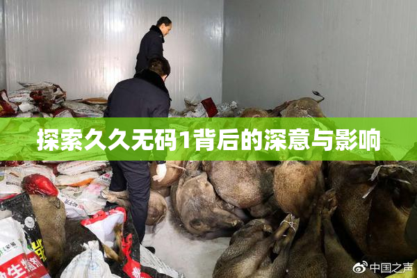 探索久久无码1背后的深意与影响