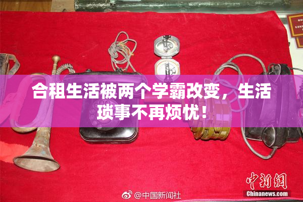 合租生活被两个学霸改变,生活琐事不再烦忧!