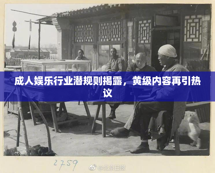 成人娱乐行业潜规则揭露，黄级内容再引热议