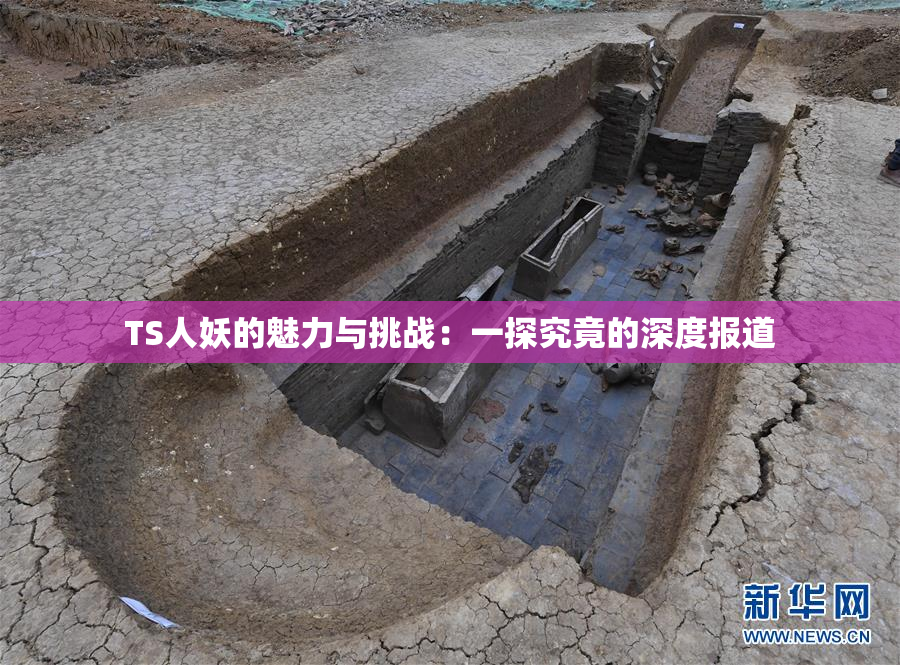 TS人妖的魅力与挑战:一探究竟的深度报道