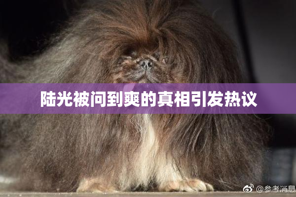 陆光被问到爽的真相引发热议