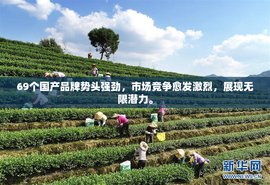 69个国产品牌势头强劲,市场竞争愈发激烈,展现无限潜力。