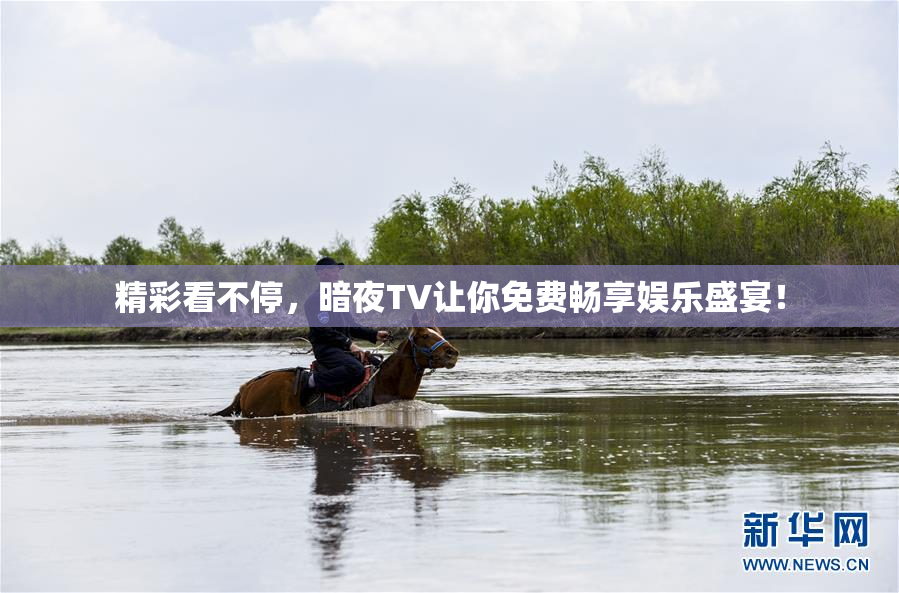 精彩看不停,暗夜TV让你免费畅享娱乐盛宴!