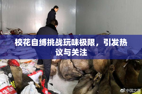 校花自缚挑战玩味极限,引发热议与关注