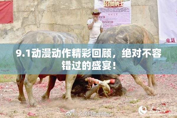 9.1动漫动作精彩回顾，绝对不容错过的盛宴！