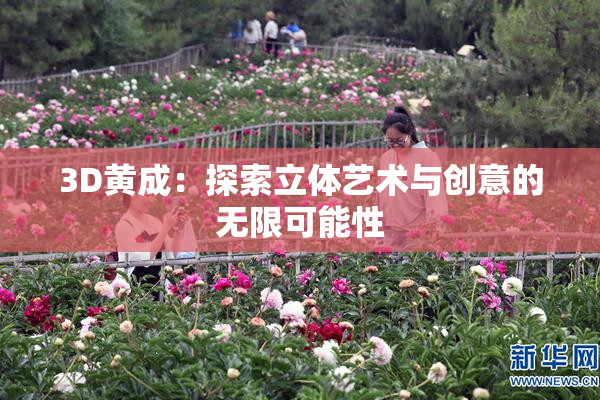 3D黄成:探索立体艺术与创意的无限可能性
