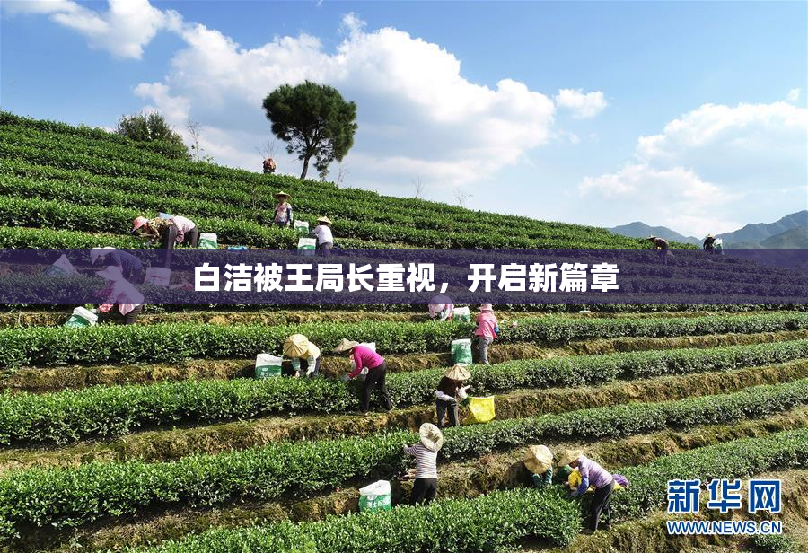 白洁被王局长重视,开启新篇章