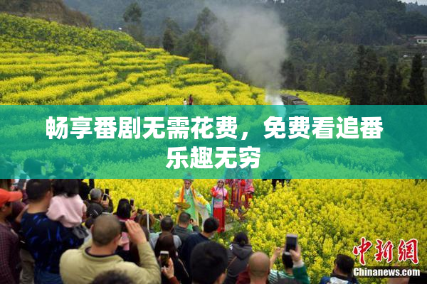 畅享番剧无需花费，免费看追番乐趣无穷
