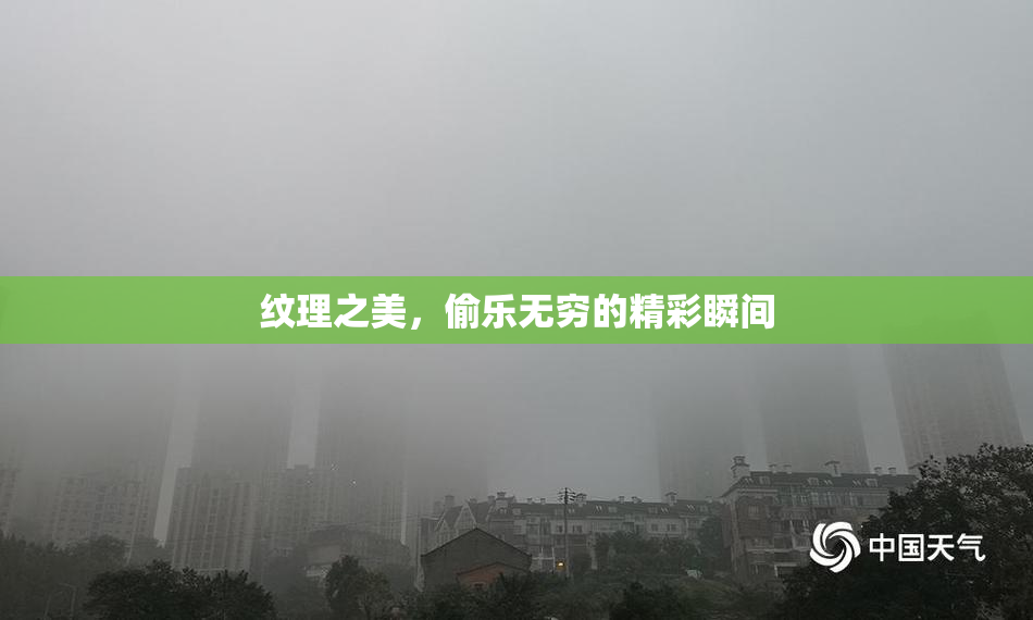 纹理之美，偷乐无穷的精彩瞬间