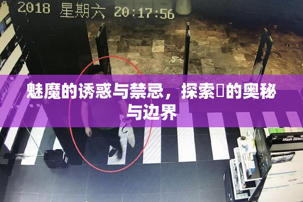 魅魔的诱惑与禁忌，探索婬的奥秘与边界