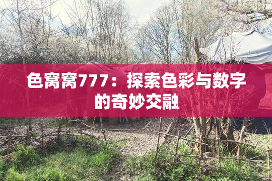 色窝窝777：探索色彩与数字的奇妙交融