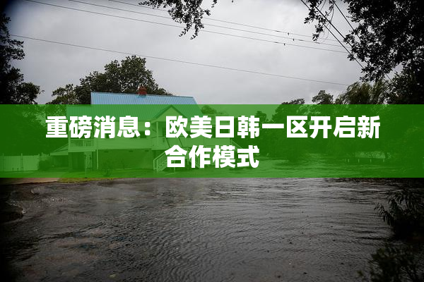 重磅消息：欧美日韩一区开启新合作模式