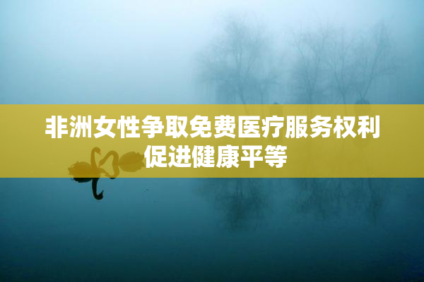 非洲女性争取免费医疗服务权利 促进健康平等