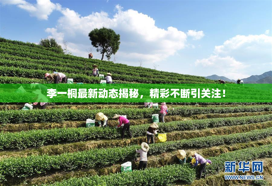 李一桐最新动态揭秘，精彩不断引关注！