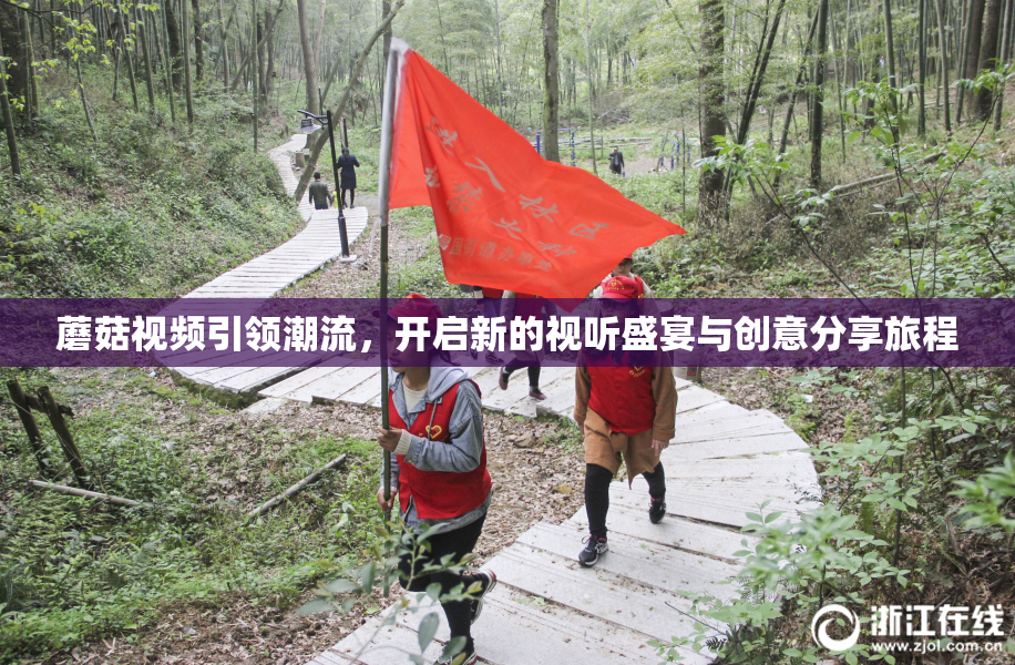蘑菇视频引领潮流，开启新的视听盛宴与创意分享旅程