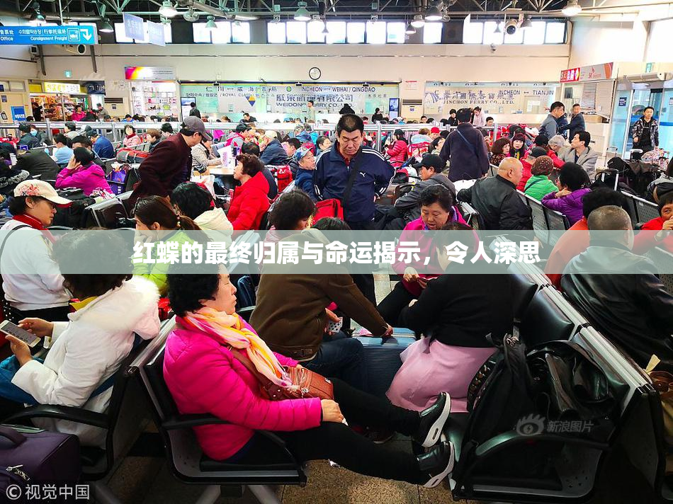 红蝶的最终归属与命运揭示，令人深思