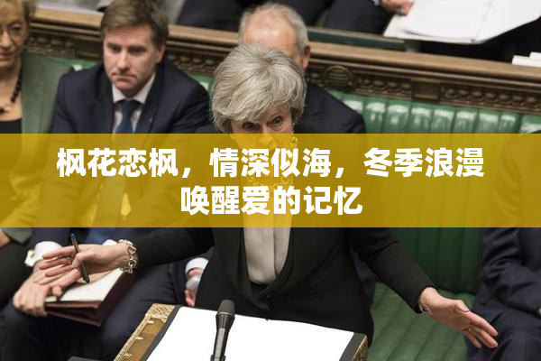 枫花恋枫，情深似海，冬季浪漫唤醒爱的记忆