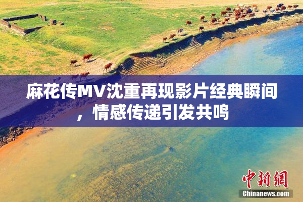 麻花传MV沈重再现影片经典瞬间，情感传递引发共鸣