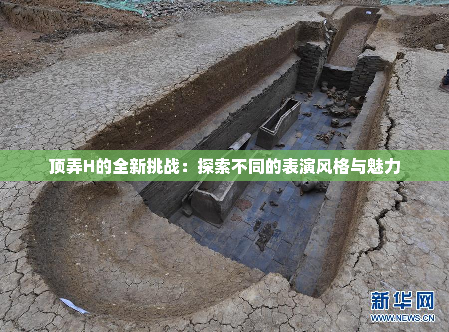 顶弄H的全新挑战：探索不同的表演风格与魅力