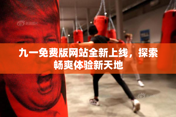九一免费版网站全新上线，探索畅爽体验新天地