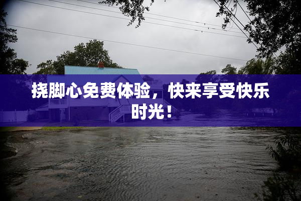 挠脚心免费体验，快来享受快乐时光！