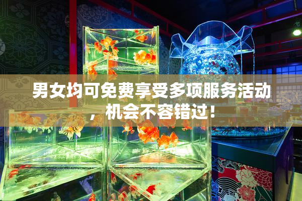 男女均可免费享受多项服务活动，机会不容错过！
