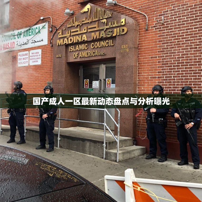 国产成人一区最新动态盘点与分析曝光