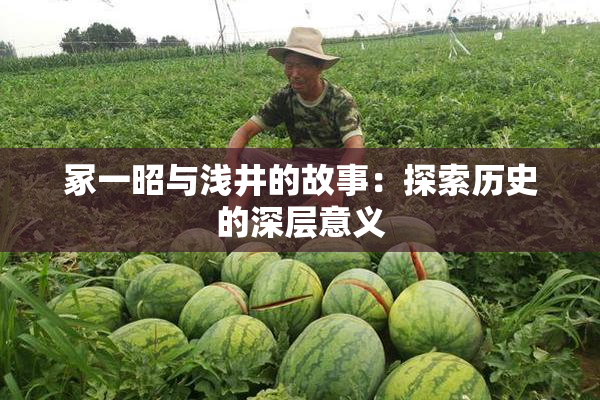 冢一昭与浅井的故事：探索历史的深层意义