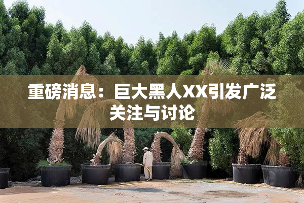 重磅消息：巨大黑人XX引发广泛关注与讨论