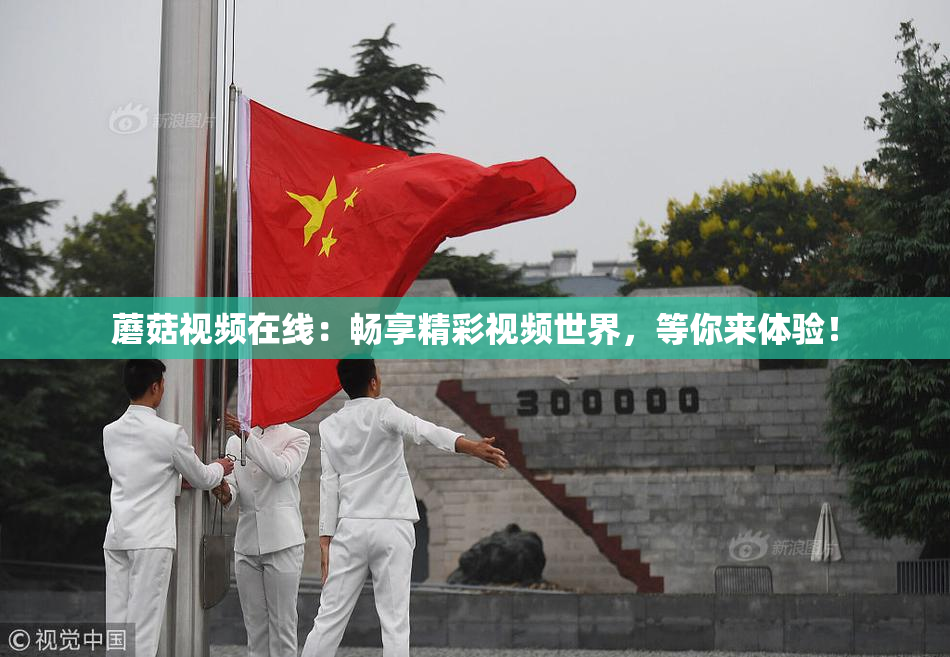 蘑菇视频在线：畅享精彩视频世界，等你来体验！