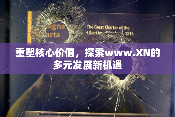 重塑核心价值，探索www.XN的多元发展新机遇