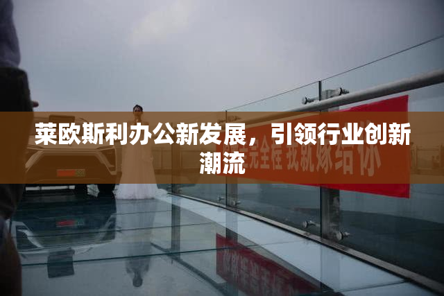 莱欧斯利办公新发展，引领行业创新潮流