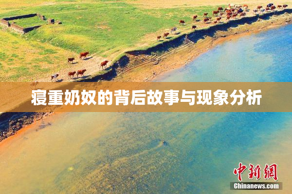 寝重奶奴的背后故事与现象分析