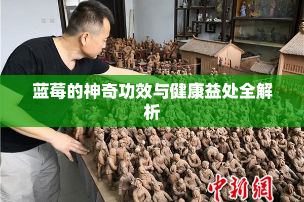 蓝莓的神奇功效与健康益处全解析