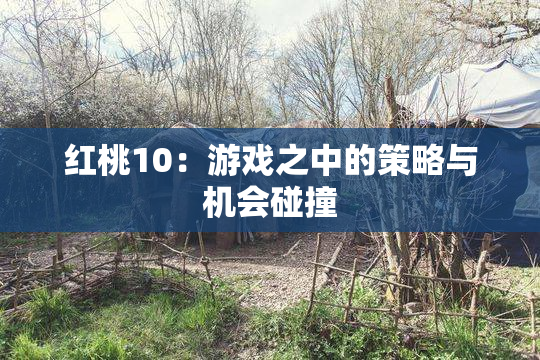 红桃10：游戏之中的策略与机会碰撞