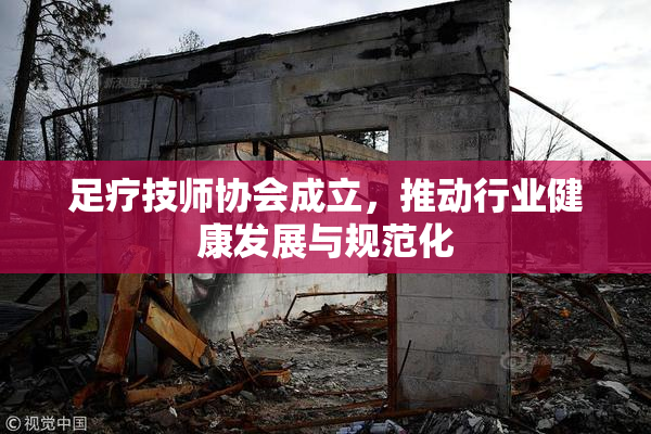 足疗技师协会成立，推动行业健康发展与规范化