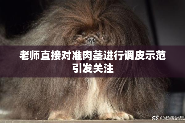 老师直接对准肉茎进行调皮示范引发关注