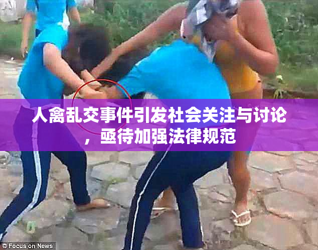 人禽乱交事件引发社会关注与讨论，亟待加强法律规范